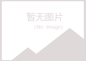 青岛黄岛凌珍金融有限公司